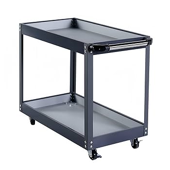 61bVT6a+P7L._UF350,350_QL80_.jpg